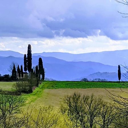 Tuscan Hills Near Florence - Stone House Vicchio Bagian luar foto