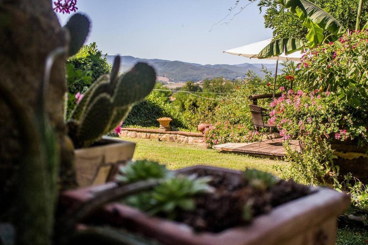 Tuscan Hills Near Florence - Stone House Vicchio Bagian luar foto