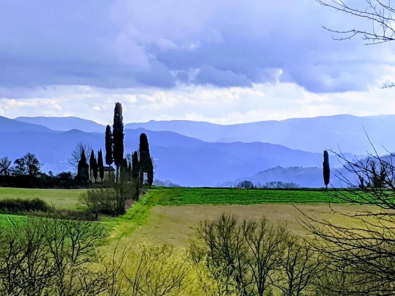 Tuscan Hills Near Florence - Stone House Vicchio Bagian luar foto